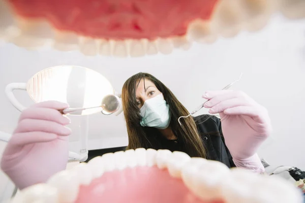 Dentist examining patient teeth, Inside mouth view.