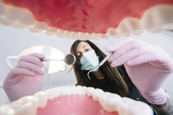 Dentist examining patient teeth, Inside mouth view.
