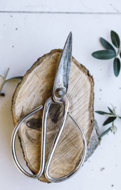 antika metal Japon Bonsai makasları/makas