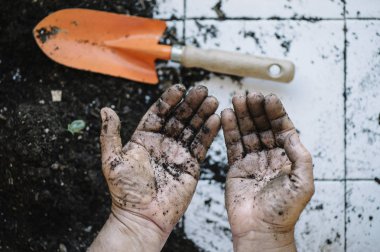 Komuta sizde dikmek bitki eller.