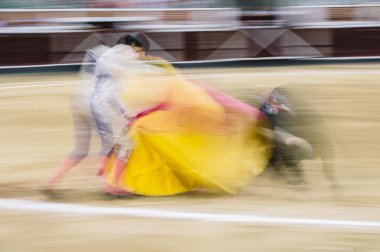 Boğa güreşçisi bir Arena. 