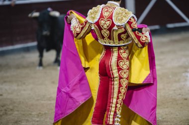 Boğa güreşçisi bir Arena. 