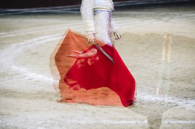 Boğa güreşçisi bir Arena. 