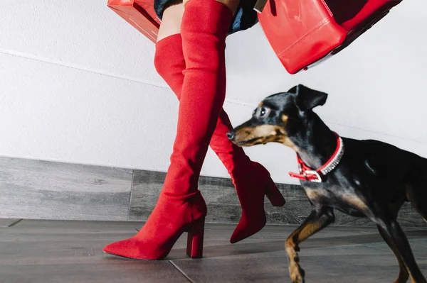 Pernas mulher bonita compras na rua, botas vermelhas e saco — Fotografia de Stock