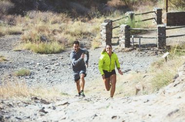 Orman'iki arkadaş genç çalışması