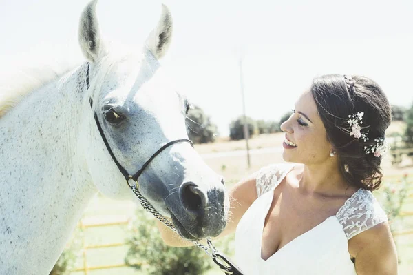 Kobieta zamężna szczęśliwy w polu z koni arabskich — Zdjęcie stockowe