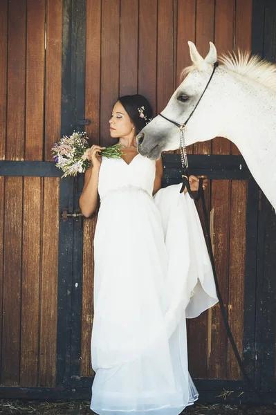 Žena vdaná šťastný v poli s Arabský kůň — Stock fotografie