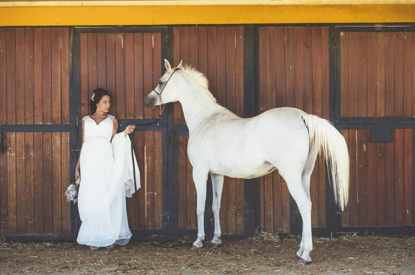 Evli kadın mutlu bir Arap atı ile alanında — Stok fotoğraf