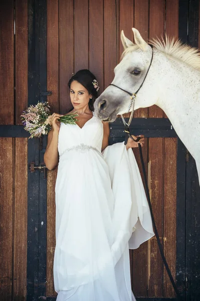 Wanita menikah bahagia di lapangan dengan kuda Arab — Stok Foto