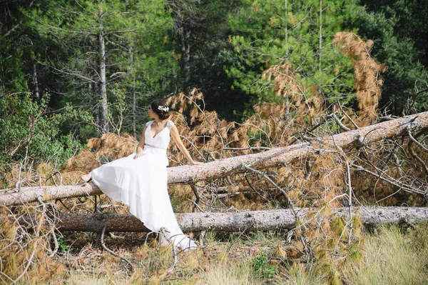 ağacın altında oturup alanında kadın mutlu evli
