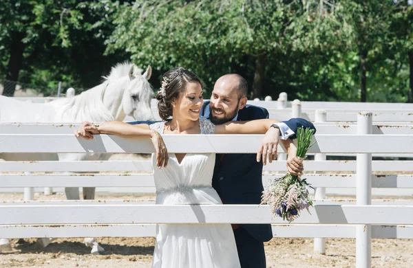 Nowo żonaty ślub para stoją z pięknego konia na natu — Zdjęcie stockowe