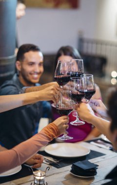 şarap ile toasting arkadaşlar