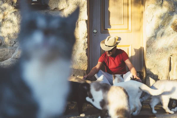 Uomo per strada con gatti — Foto Stock