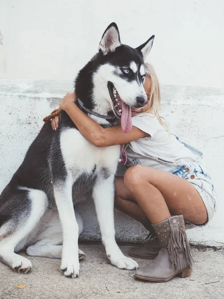 Hermosa chica rubia posa con mascota Siberian Husky —  Fotos de Stock