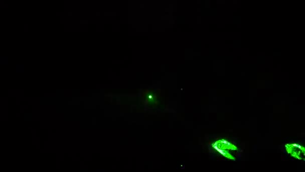 黒暗い背景に緑色のレーザービーム — ストック動画