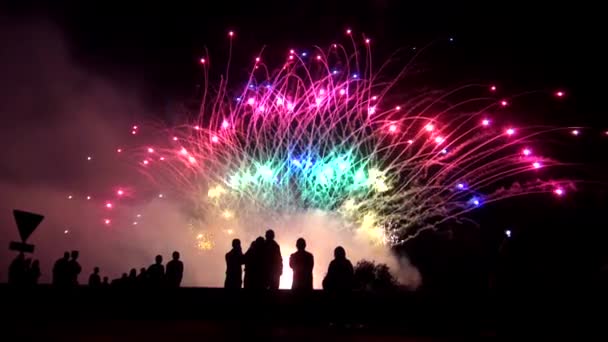 Grupo de amigos desfrutando show fogos de artifício — Vídeo de Stock