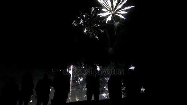 Grupo de amigos desfrutando show fogos de artifício — Vídeo de Stock