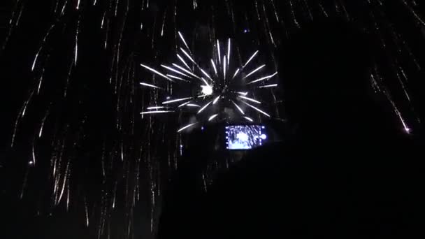 Grupa przyjaciół ciesząc się pokazy sztucznych ogni — Wideo stockowe