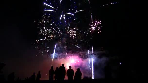 Group of friends enjoying fireworks show — Stock Video