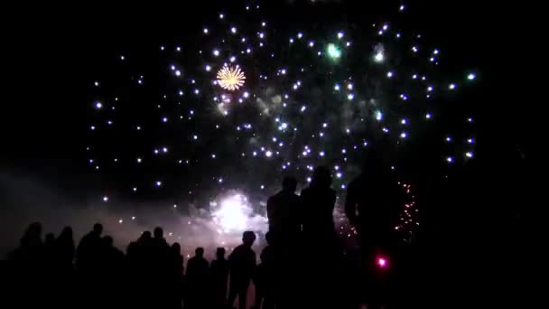 Group of friends enjoying fireworks show — Stock Video