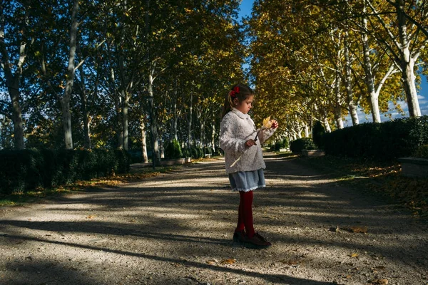 Sonbahar yaprakları ile küçük kız — Stok fotoğraf