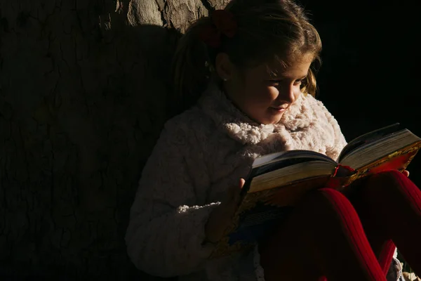 Beautiful little girl reading a book in the Park — Stock Photo, Image