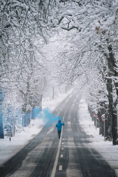 人与蓝色孟加拉在冬天雪路 — 图库照片