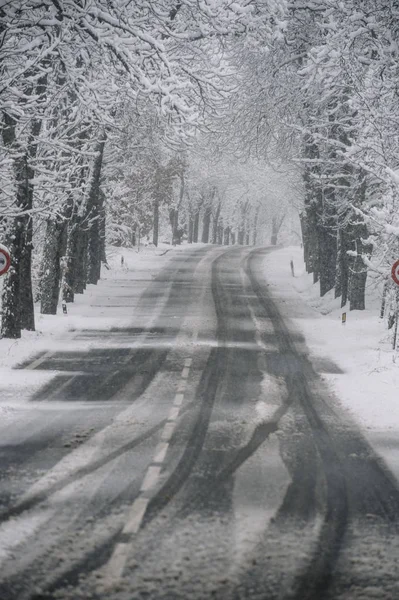 Strada invernale. Strada di campagna attraverso la foresta. Concetto di viaggio . — Foto Stock