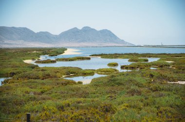 Panoramik Sahili doğal parkı Cabo de Gata Andalusia