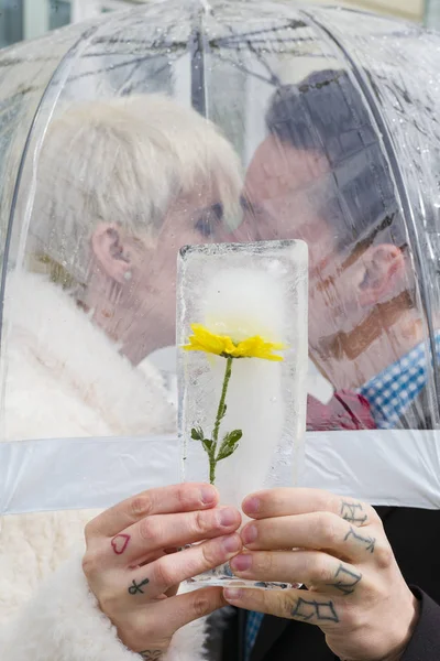 Kadın ve adam sarı çiçek ve KIS buz kalıbı holding — Stok fotoğraf