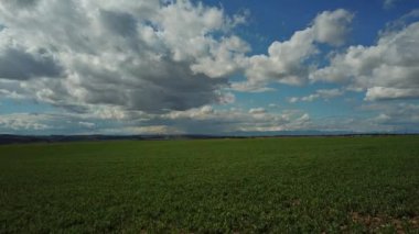 Rüzgar, hava görünümünü taşımak çiçek alan