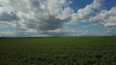  Rüzgar, hava görünümünü taşımak çiçek alan