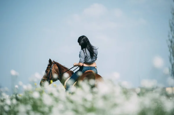 Wanita hamil dengan kuda di lapangan hijau — Stok Foto