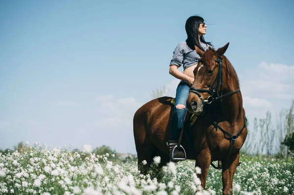 Mujer embarazada con caballo en el campo verde —  Fotos de Stock