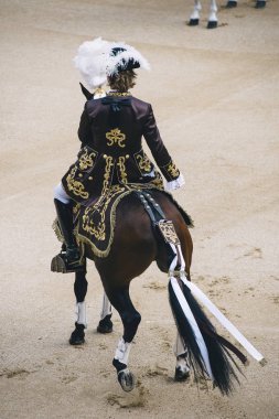 Corrida. Matador ve mücadele içinde tipik bir İspanyol boğa güreşi at
