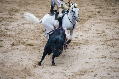 Corrida. Matador ve mücadele içinde tipik bir İspanyol boğa güreşi at