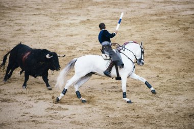 Corrida. Matador ve mücadele içinde tipik bir İspanyol boğa güreşi at