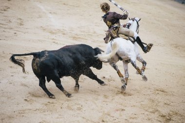 Corrida. Matador ve mücadele içinde tipik bir İspanyol boğa güreşi at