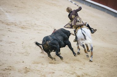 Corrida. Matador ve mücadele içinde tipik bir İspanyol boğa güreşi at