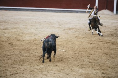 Corrida. Matador ve mücadele içinde tipik bir İspanyol boğa güreşi at