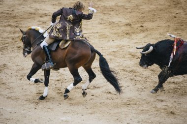 Corrida. Matador ve mücadele içinde tipik bir İspanyol boğa güreşi at