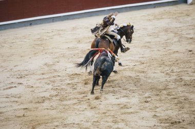 Corrida. Matador ve mücadele içinde tipik bir İspanyol boğa güreşi at