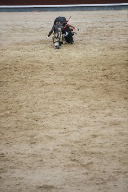 Corrida. Matador ve mücadele içinde tipik bir İspanyol boğa güreşi at