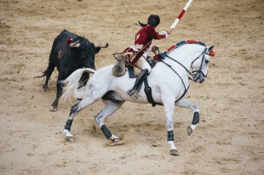 Corrida. Matador ve mücadele içinde tipik bir İspanyol boğa güreşi at