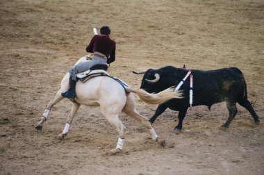 Corrida. Matador ve mücadele içinde tipik bir İspanyol boğa güreşi at