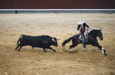 Corrida. Matador ve mücadele içinde tipik bir İspanyol boğa güreşi at
