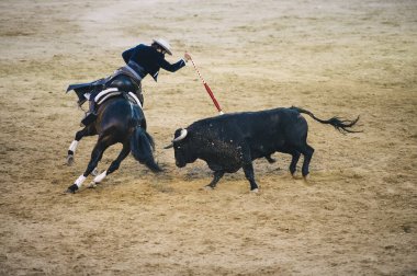 Corrida. Matador ve mücadele içinde tipik bir İspanyol boğa güreşi at
