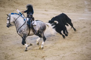Corrida. Matador ve mücadele içinde tipik bir İspanyol boğa güreşi at