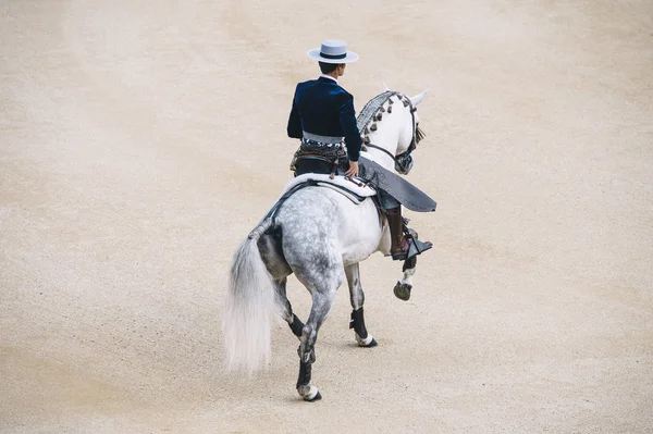 A Corrida. Matador és egy tipikus spanyol bikaviadal a harci ló — Stock Fotó