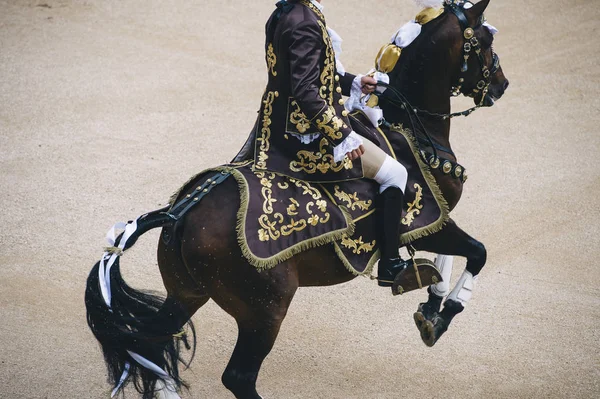 Corrida. Matador a kůň bojovat v typické španělské býčí zápasy — Stock fotografie